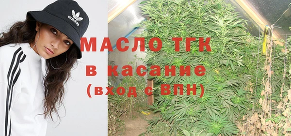 мет Инсар