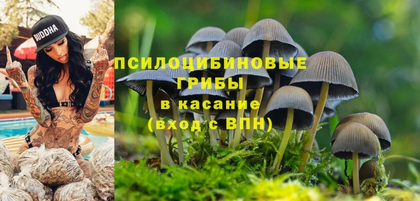мет Инсар