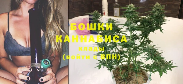 мет Инсар
