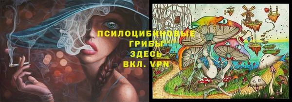 мет Инсар