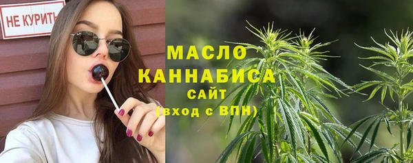 гидра Шадринск